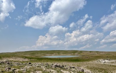 IMG_E0147alt.jpg IMG_E0147alt.jpg