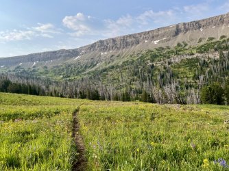 IMG_E0054.JPG IMG_E0054.JPG