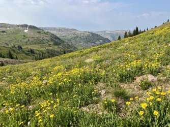 IMG_E0074.JPG IMG_E0074.JPG