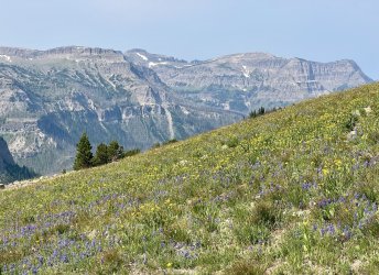 IMG_E0082.JPG IMG_E0082.JPG