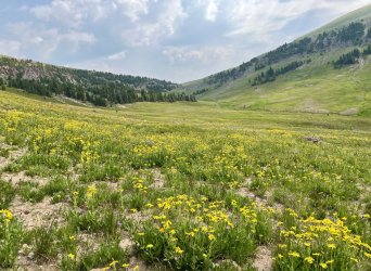 IMG_E0098.JPG IMG_E0098.JPG