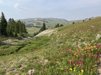 IMG_0378.jpg IMG_0378.jpg