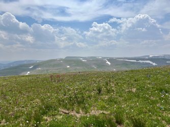 IMG_E0249.JPG IMG_E0249.JPG