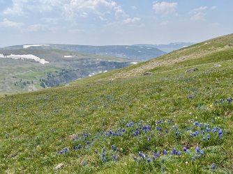 IMG_E0252.JPG IMG_E0252.JPG