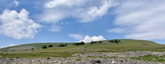 IMG_E0255.JPG IMG_E0255.JPG