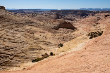 DSC01541-2.jpg DSC01541-2.jpg