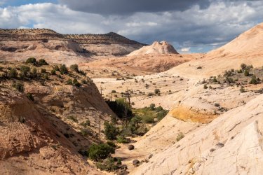 DSC01585.jpg DSC01585.jpg