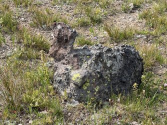 IMG_e0377.JPG IMG_e0377.JPG