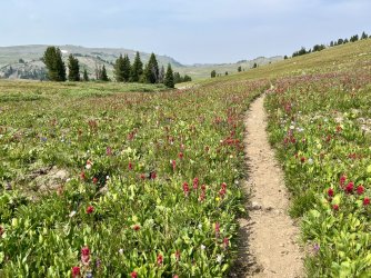 IMG_E0379.JPG IMG_E0379.JPG