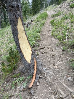 IMG_e0423.JPG IMG_e0423.JPG