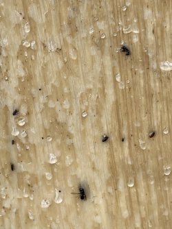 IMG_e0424.JPG IMG_e0424.JPG