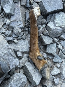 IMG_e0543.JPG IMG_e0543.JPG