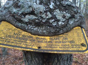 Cumberland forest sign.JPG