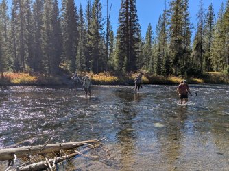 PXL_20240927_192142371.jpg PXL_20240927_192142371.jpg