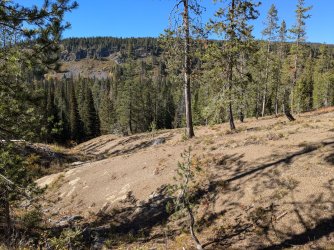 PXL_20240927_213034436.jpg PXL_20240927_213034436.jpg