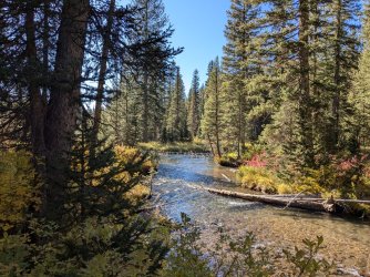 PXL_20240927_220555332.MP.jpg PXL_20240927_220555332.MP.jpg