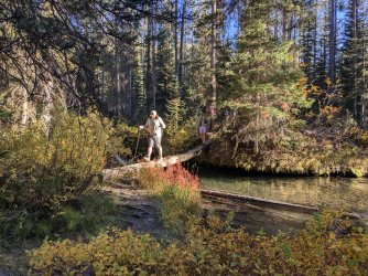 PXL_20240927_234424126.MP.jpg PXL_20240927_234424126.MP.jpg