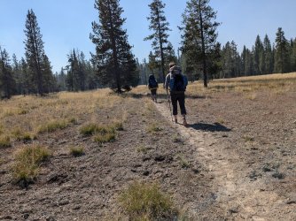 PXL_20240928_182217999.jpg PXL_20240928_182217999.jpg