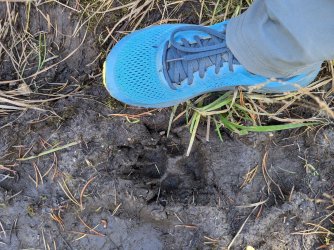 PXL_20240928_200139147.jpg PXL_20240928_200139147.jpg