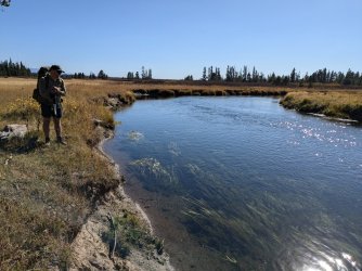 PXL_20240928_214210064.jpg PXL_20240928_214210064.jpg