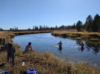 PXL_20240928_215043284.MP.jpg PXL_20240928_215043284.MP.jpg