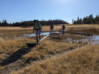 PXL_20240928_222756572.jpg PXL_20240928_222756572.jpg