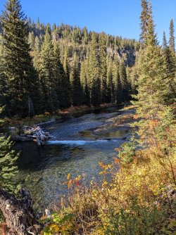 PXL_20240928_231159707.jpg PXL_20240928_231159707.jpg