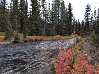 PXL_20240929_135421675.MP.jpg PXL_20240929_135421675.MP.jpg