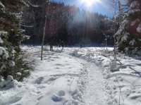 IMG_0745.JPG IMG_0745.JPG