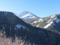 IMG_0737.JPG IMG_0737.JPG