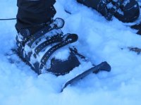 IMG_0758.JPG IMG_0758.JPG