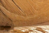 IMG_6776.jpg IMG_6776.jpg