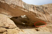 IMG_6781.jpg IMG_6781.jpg