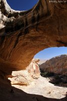 IMG_8491.jpg IMG_8491.jpg