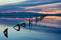 stansbury-print-bcp.jpg stansbury-print-bcp.jpg