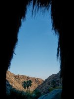 borregoPalms_3.jpg borregoPalms_3.jpg