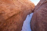 swell-wild-horse-6.jpg swell-wild-horse-6.jpg