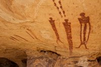 swell-wild-horse-9.jpg swell-wild-horse-9.jpg