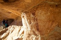 swell-wild-horse-10.jpg swell-wild-horse-10.jpg