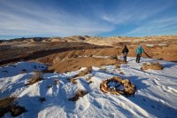 swell-wild-horse-13.jpg swell-wild-horse-13.jpg