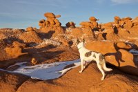 swell-wild-horse-15.jpg swell-wild-horse-15.jpg