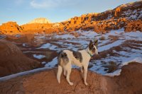 swell-wild-horse-18.jpg swell-wild-horse-18.jpg