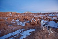 swell-wild-horse-21.jpg swell-wild-horse-21.jpg