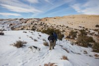 swell-wild-horse-22.jpg swell-wild-horse-22.jpg