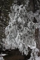 Fifth Water Hot Springs 021.jpg