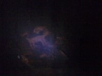 9421_177928011958_1864666_n.jpg 9421_177928011958_1864666_n.jpg