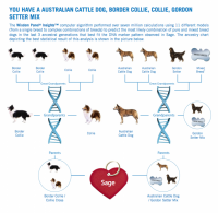 upload_2014-1-31_18-8-25.png upload_2014-1-31_18-8-25.png