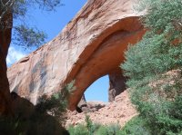 2013 school,bday-deerhunt,utah trip 037.jpg