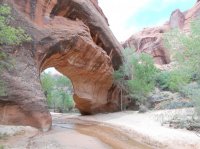 2013 school,bday-deerhunt,utah trip 092.jpg 2013 school,bday-deerhunt,utah trip 092.jpg