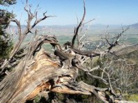 Copy (2) of ipod pics 046.jpg